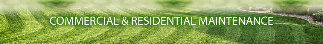 lawn cutting WNY grass cutting 716